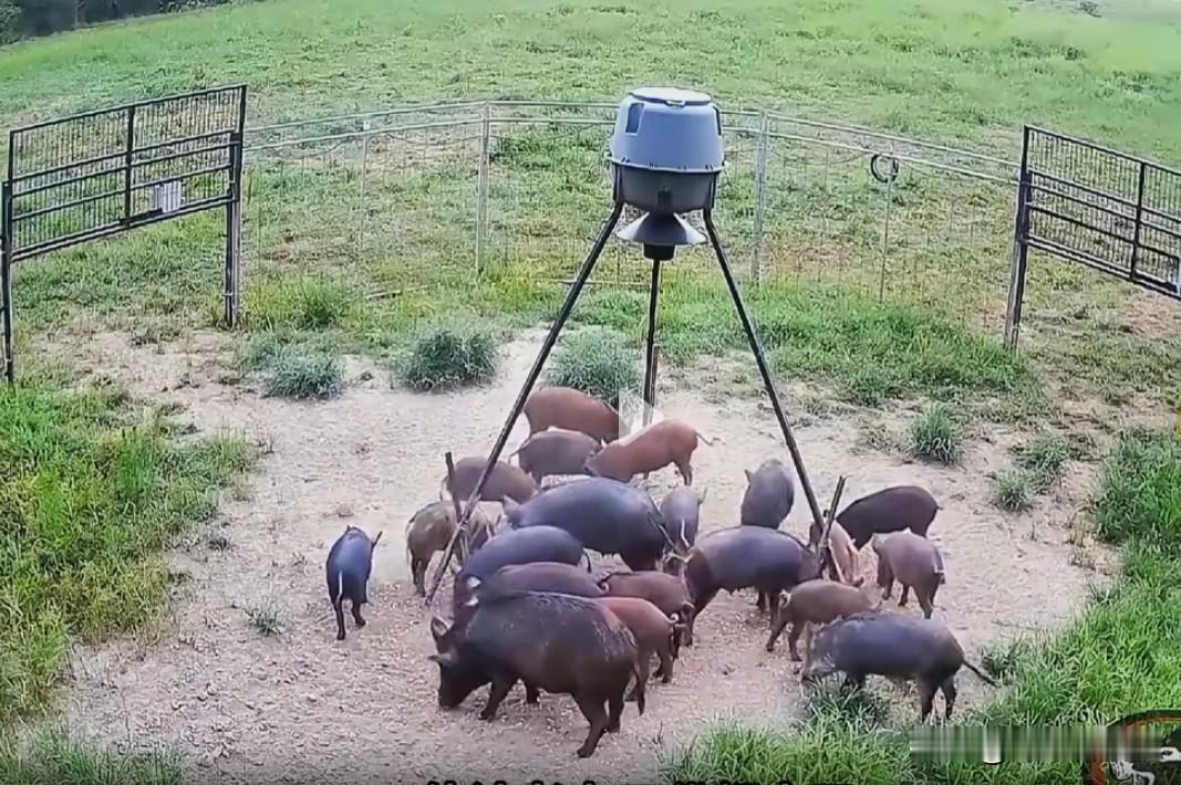 风格全面转换，远离科技cpo，半导体芯片，拥抱创新药和Ai应用，低位消费！