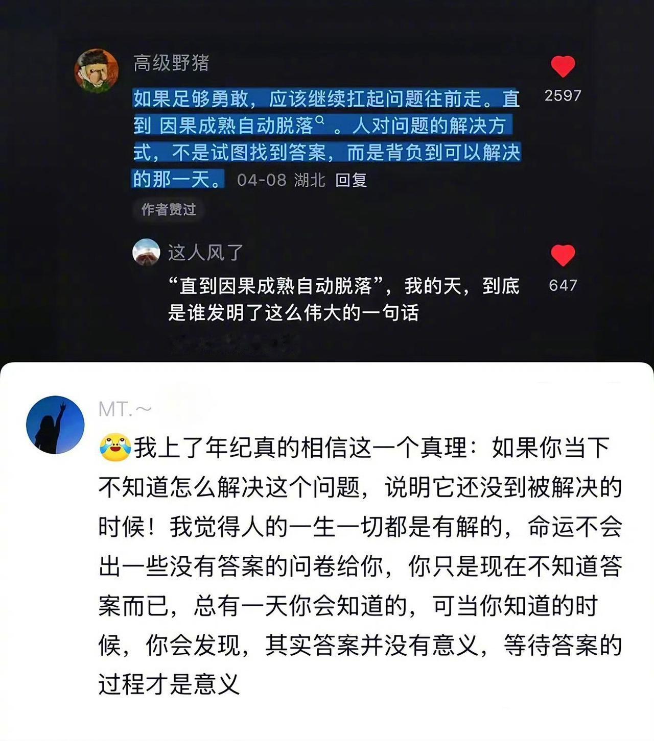 “人绞尽脑汁，不如命运随手一挥 ”