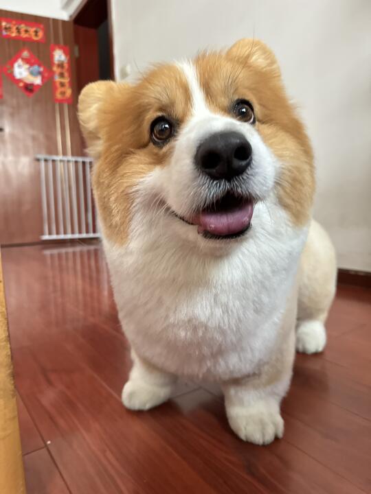 嘻嘻→不嘻嘻