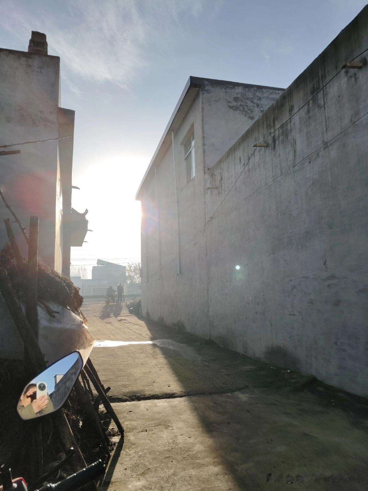 今早一睁眼就瞅见太阳往墙缝里钻，赶紧套上衣服蹿出门。巷子里的墙皮灰扑扑的，太阳一