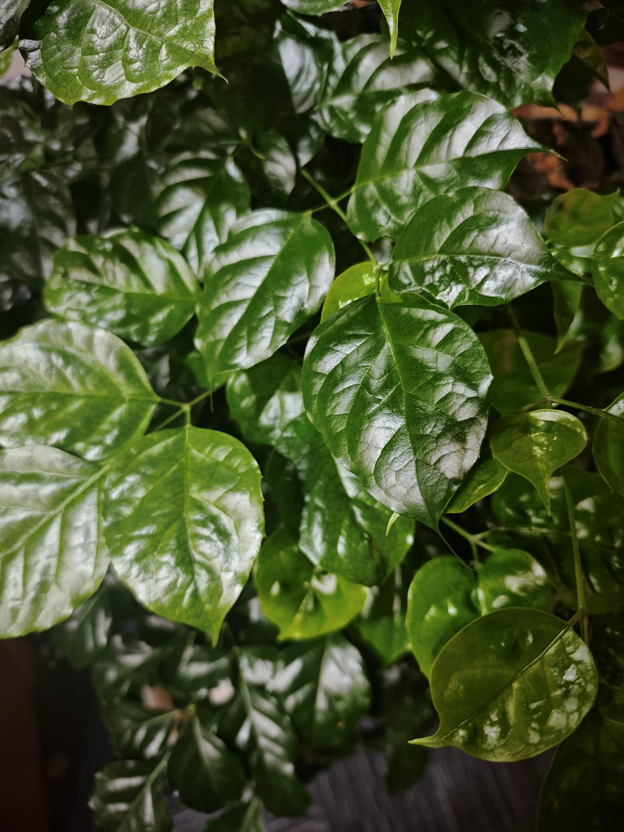 福利院不想要二手书要求大家捐新书，我觉得不妥。[笑哭]
今天我们学校组织师生给烟