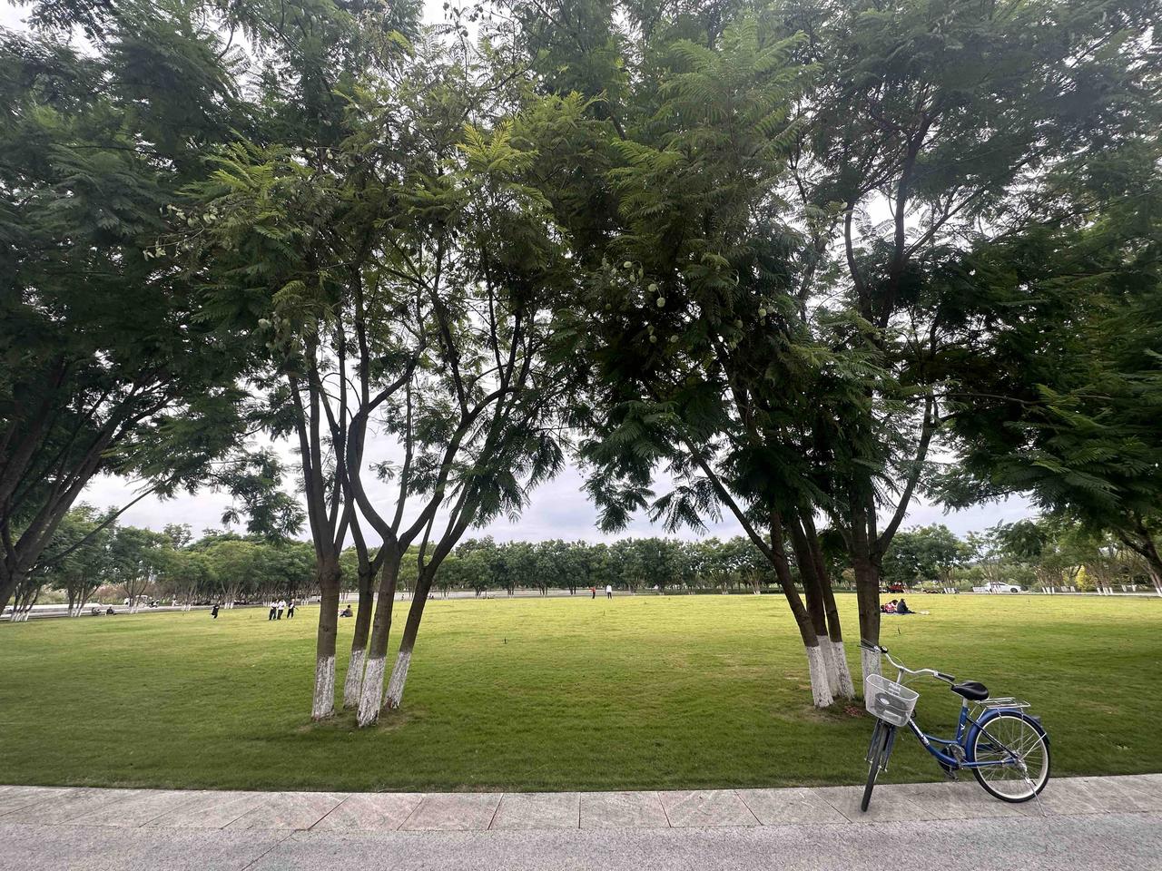 我去，又地震了……晃得还挺厉害…🤣坐着纹丝不动，习惯了，然后来一句：握草，又地