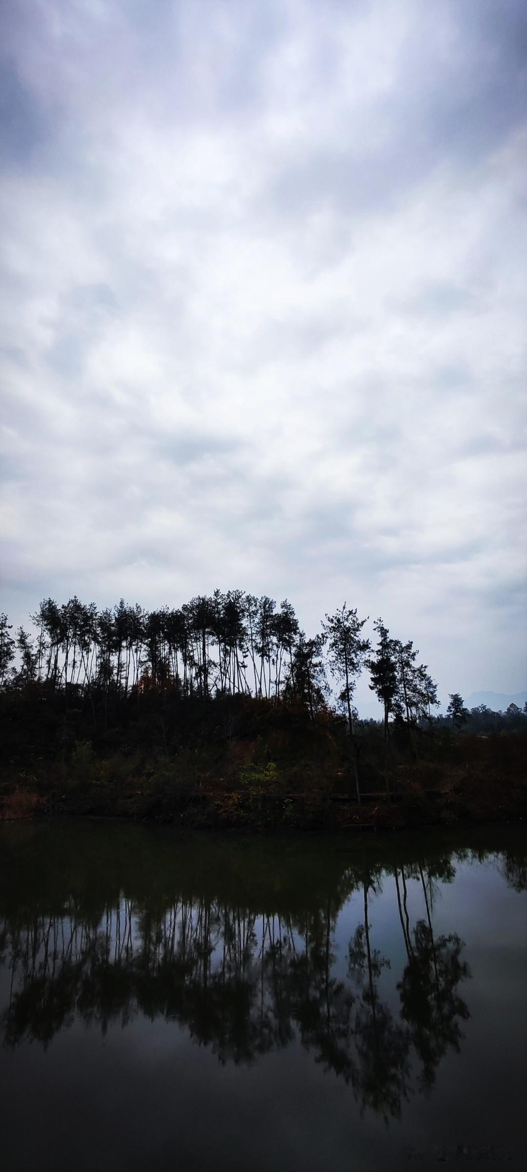 晒图笔记大赛没有风只有云的冬日，静谧的湖水与丘陵上的一排树相随相伴。此时，恰好应