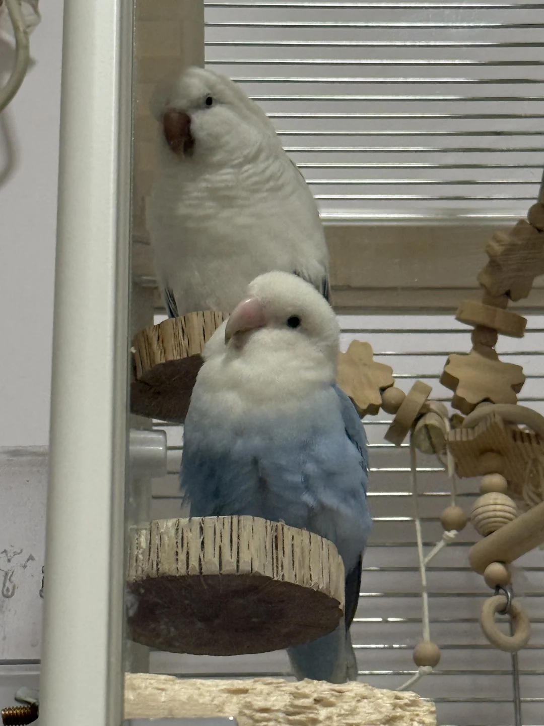 他肯定知道自己很帅吧