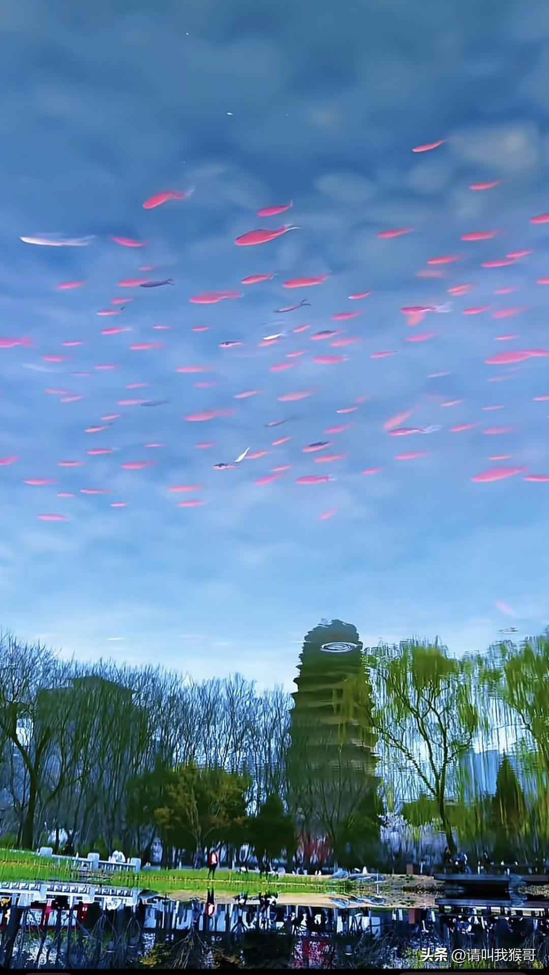 这不是特效……