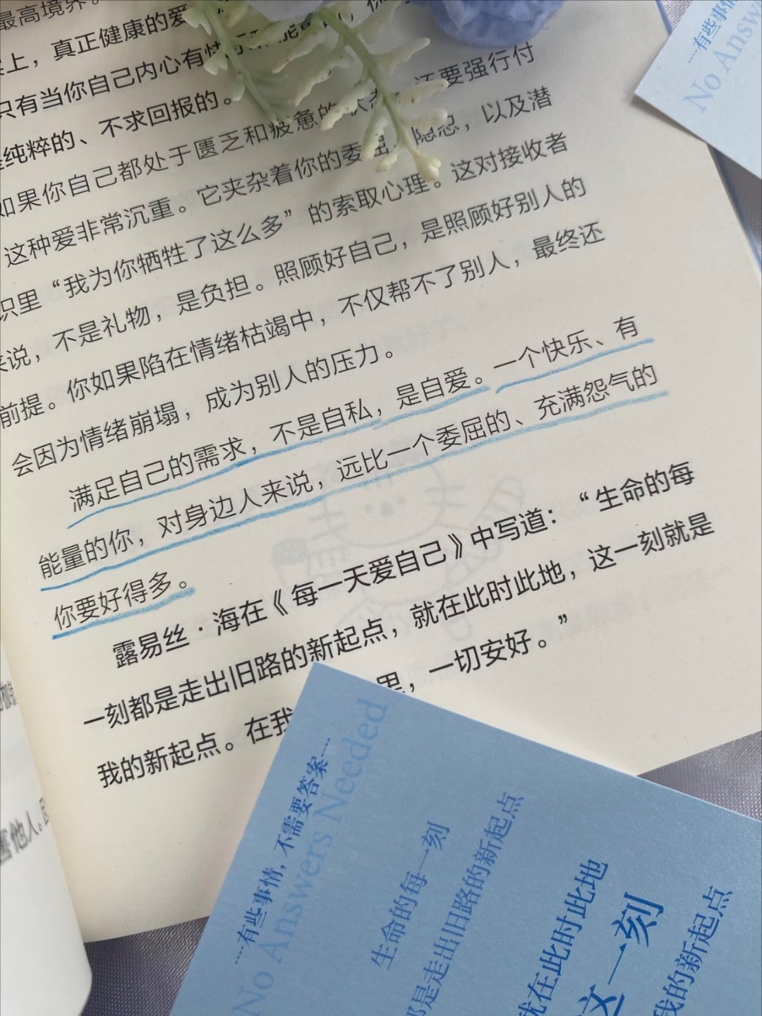 人最好的状态：不再追问答案，只安心自渡🌿 