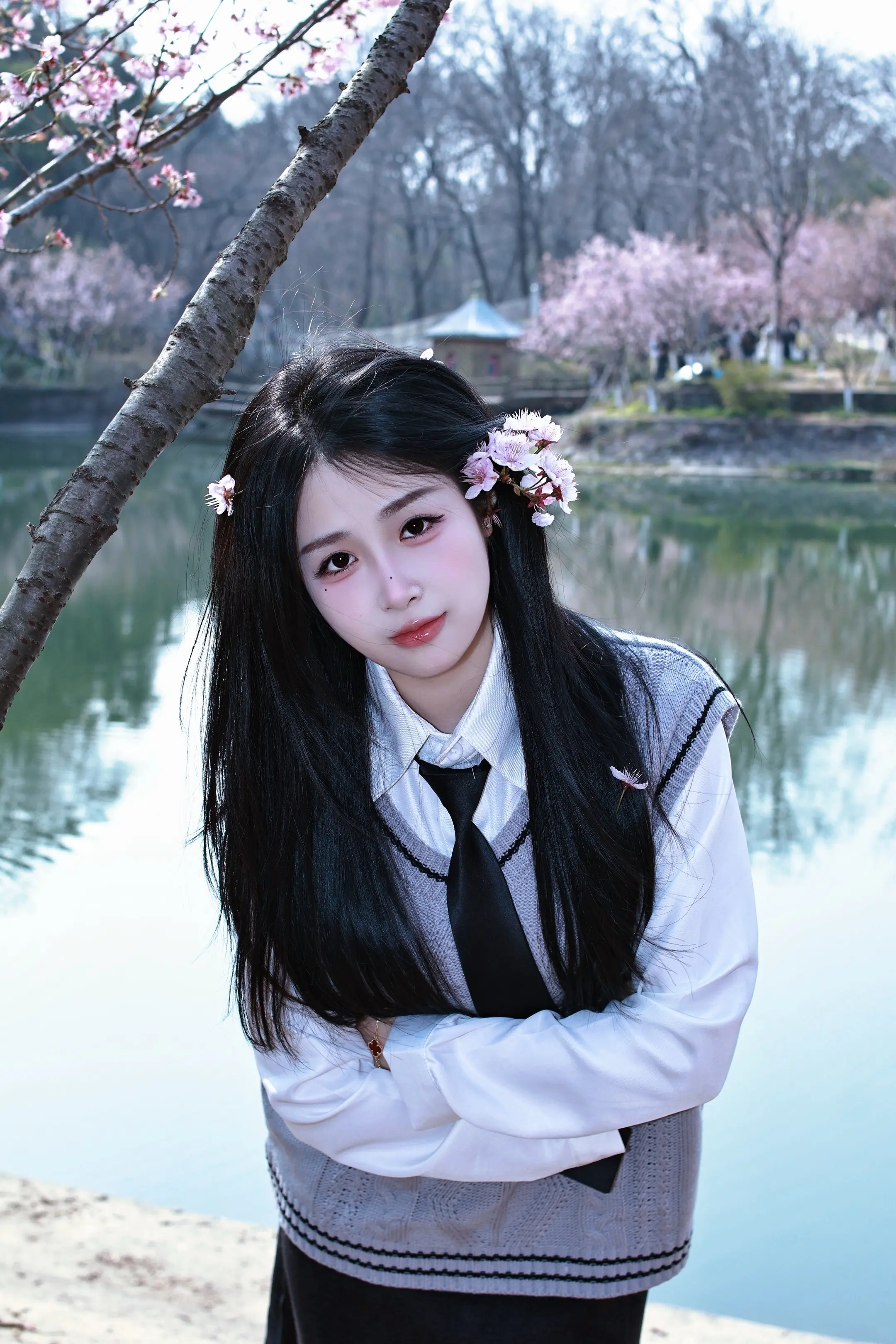 风吹樱花落 人与樱花错