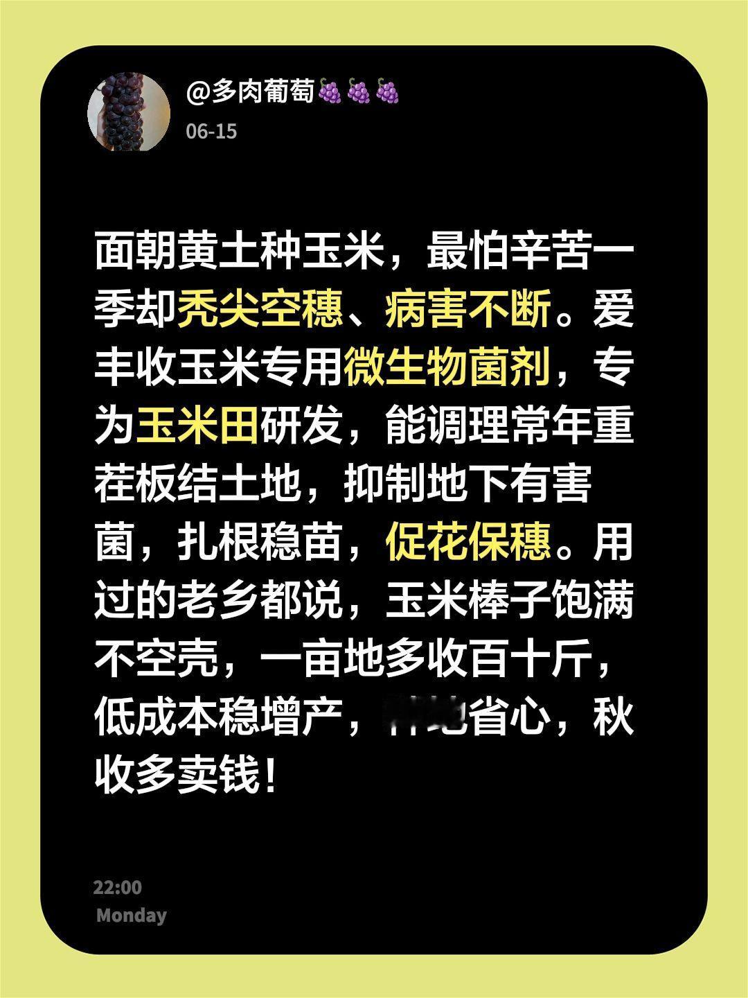 面朝黄土种玉米，最怕辛苦一季却秃尖空穗、病害不断。爱丰收玉米专用微生物菌剂，专为