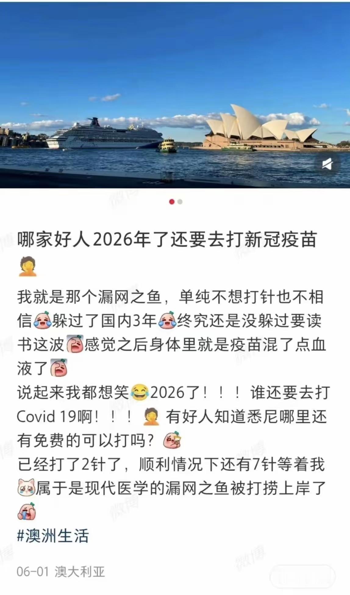 这个人好傻呀！
为了躲避打疫苗跑到了澳大利亚，结果没想到澳大利亚现在还在强制打疫