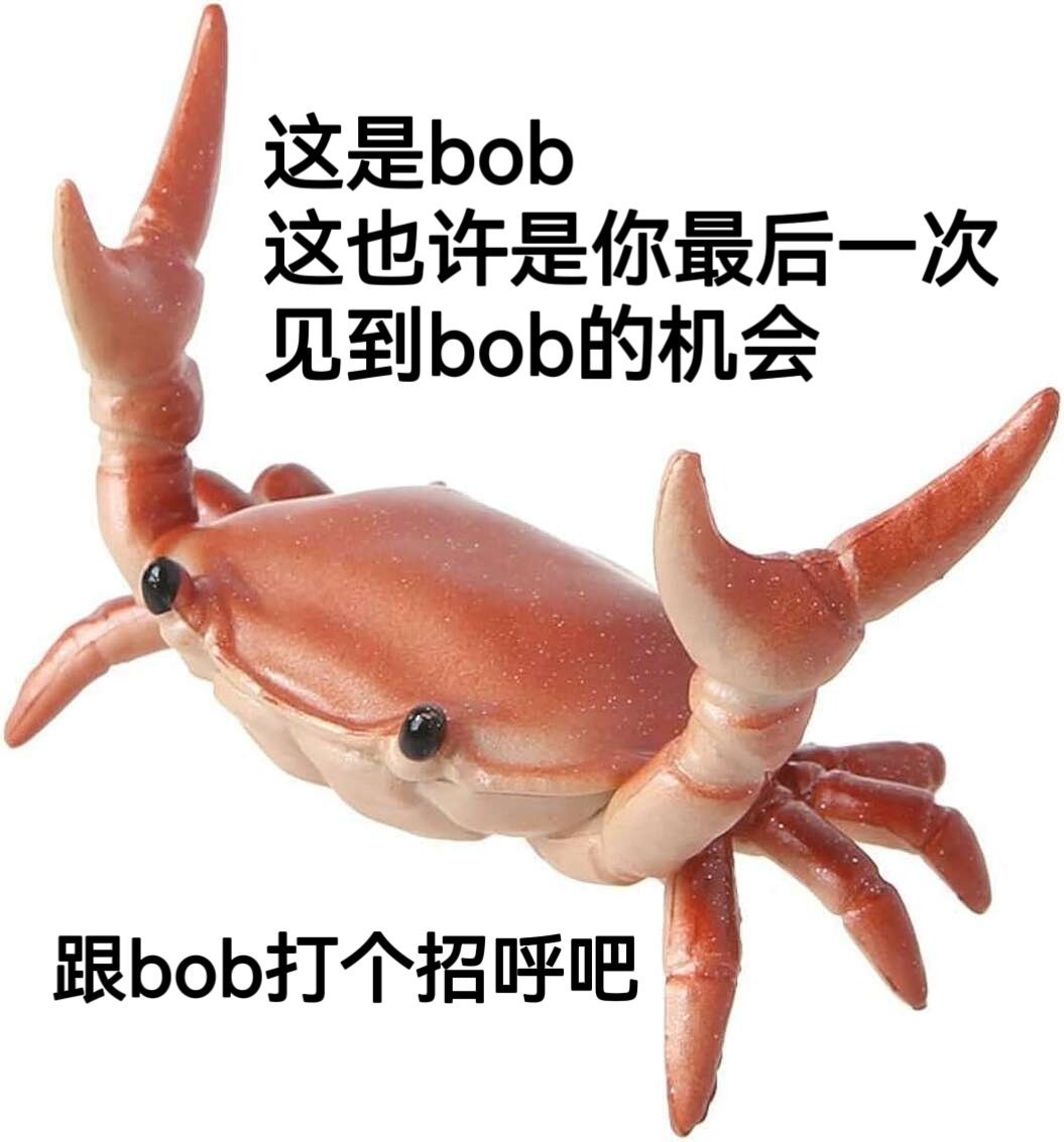 ok bob 