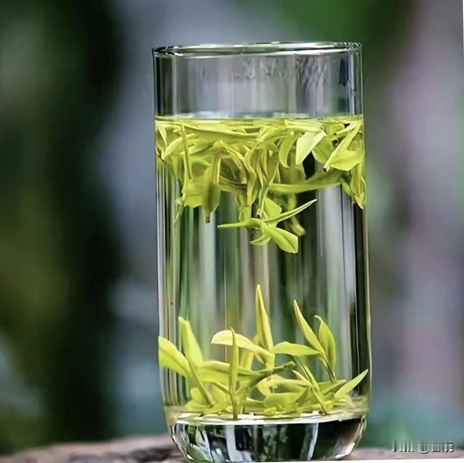 我喝过的绿茶有：
西湖龙井（浙江杭州）
​碧螺春（江苏苏州洞庭山）
​黄山毛峰（