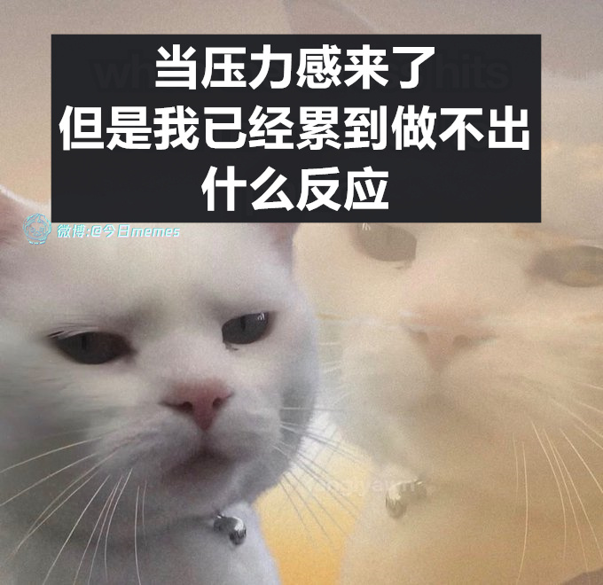 来呗（9gag）今日meme 今日memes