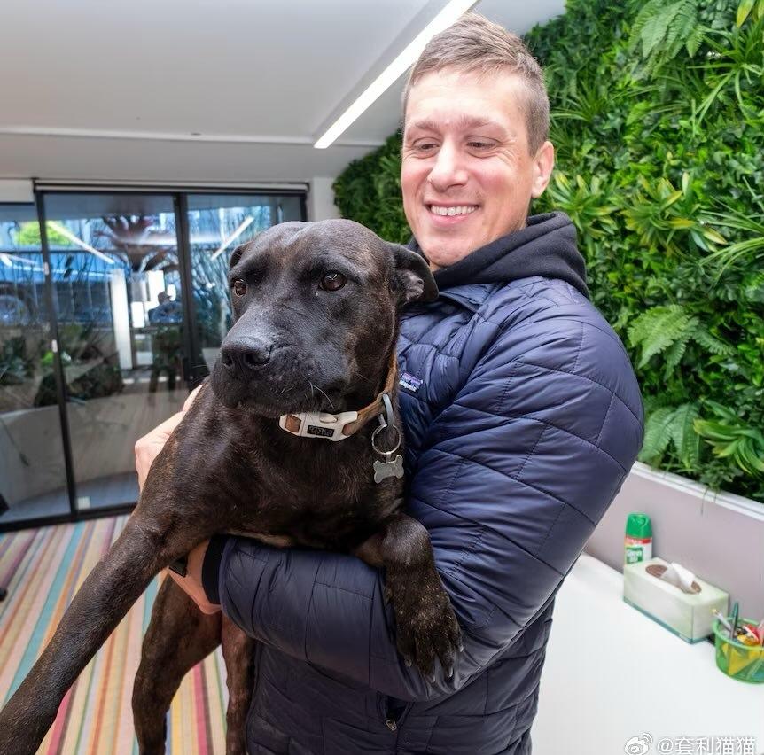 今后，癌症可以这样高效治疗吗？
（如图所示）一个澳大利亚人收养了一条狗，这狗患了