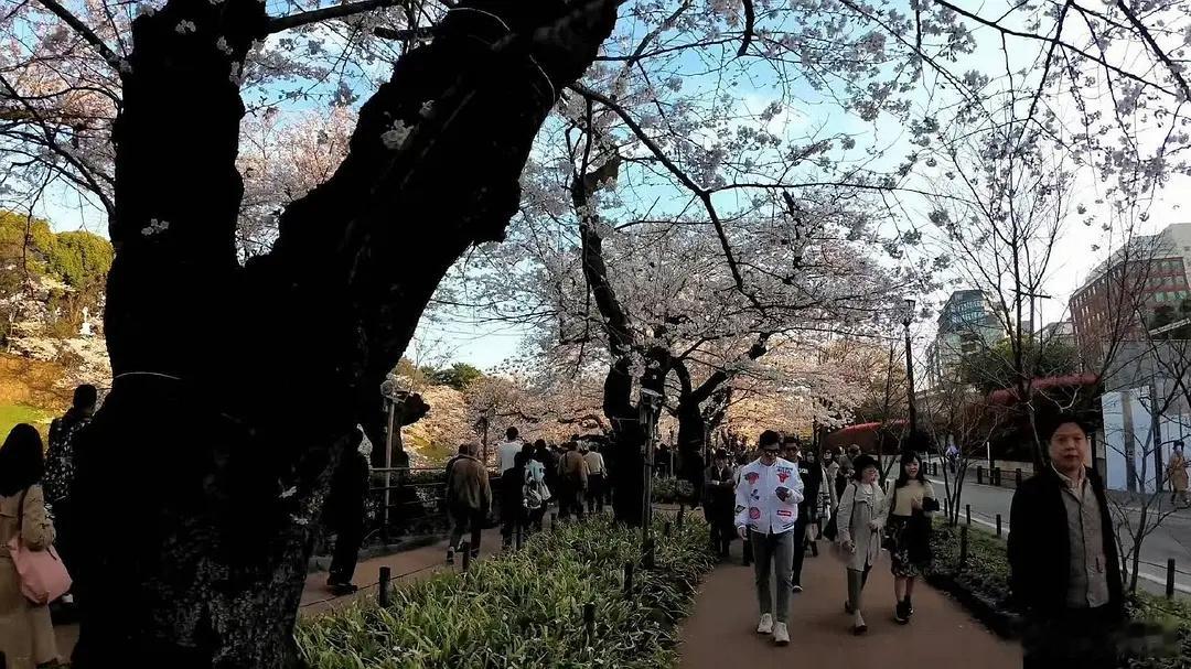 网友发现的，这是48老板？？👀👀 