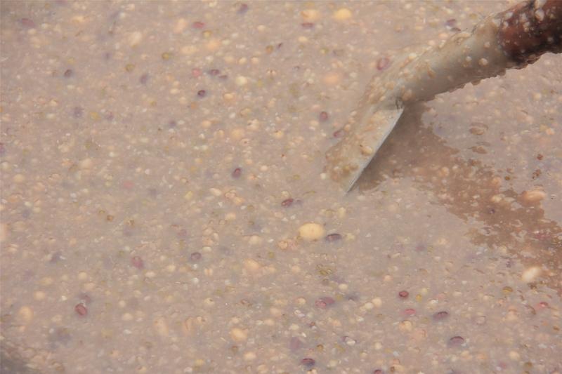 2026年腊八节，00后把腊八粥做成固体版玩出了新花样，成了新晋网红年味。做法超