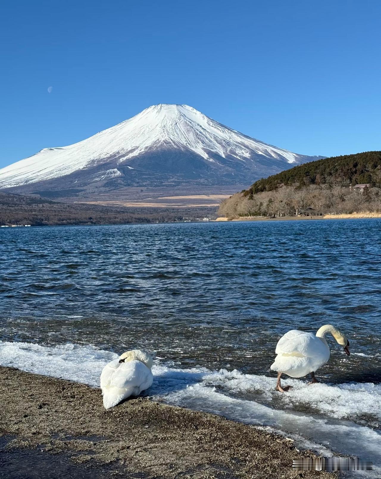 在一个叫地球村的村子，有一个邻居趁你弱的时候穷凶极恶，又打又杀又抢，后来你逐渐强