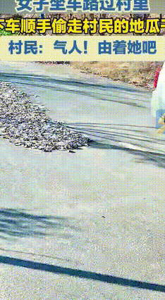 村民路边晒地瓜干连连遭过往车辆顺走：村民心态崩了却选择原谅
 安徽滁州，11月2