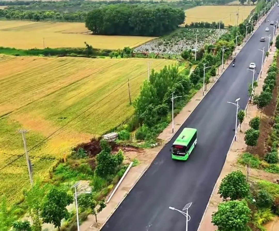 麦子熟了！5月15日，南阳郊区公路两旁的小麦渐成金黄色，丰收在望，准备收割。