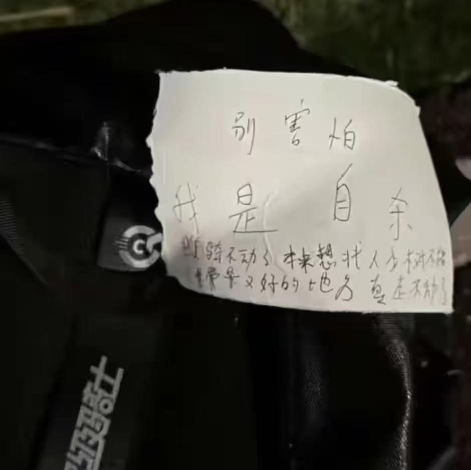 成都一位仅仅25岁的女孩在公园结束了自己的生命，警方通报说她是自由职业，网上传的