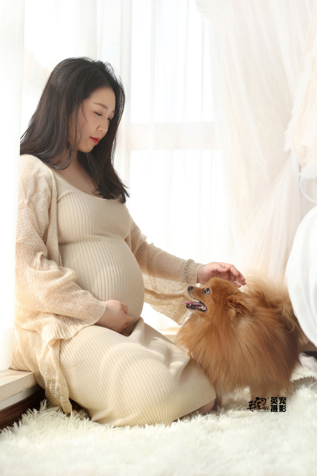 嘿～小乖，要陪我的宝宝一起长大啊[抱一抱]#爱宠物爱英宠摄影[超话]# #宠物摄