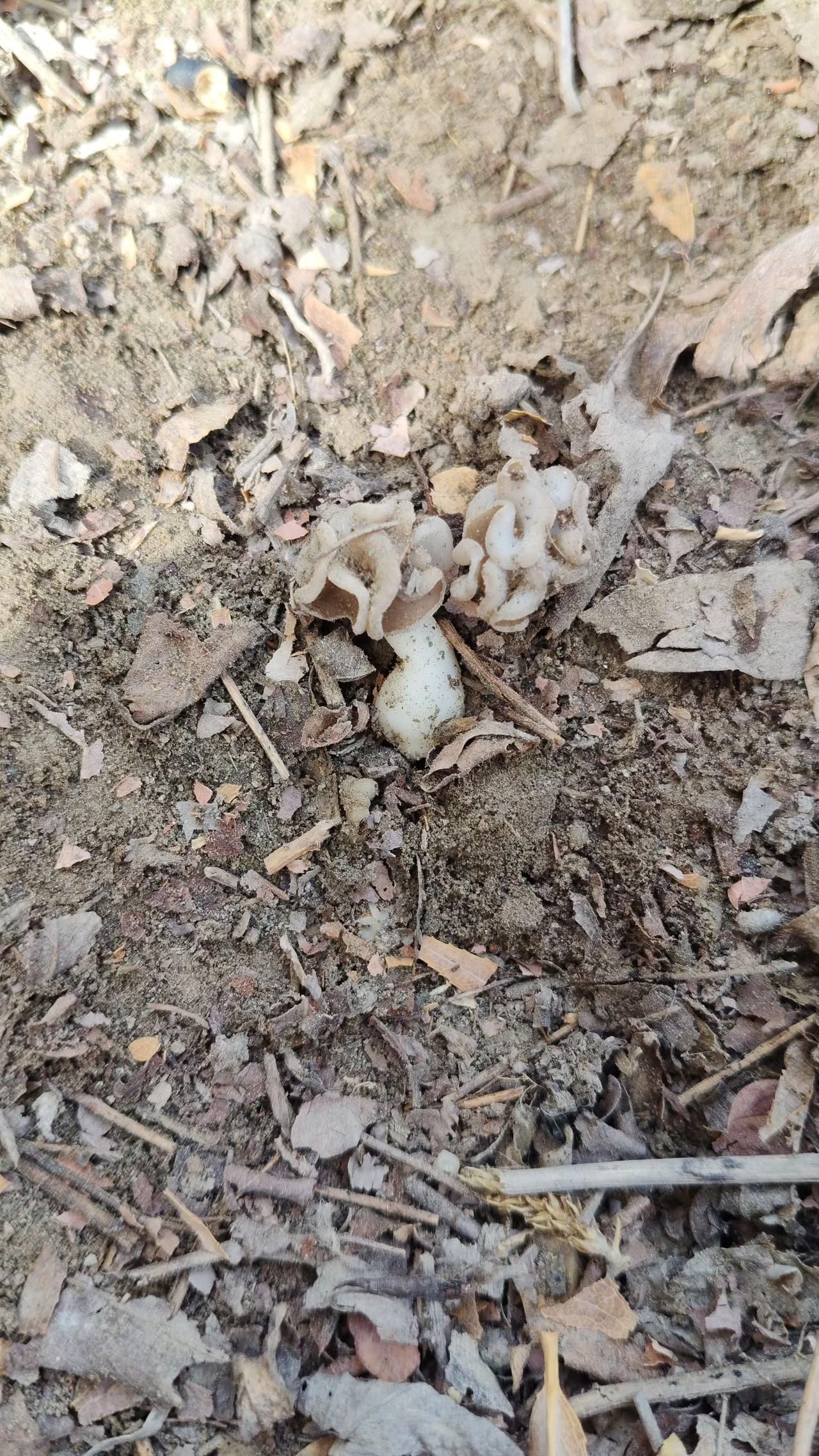 男子和朋友到湖里划船，结果船翻了。他直落湖底，朋友赶去把他救起来。朋友问:“你不