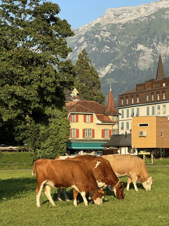 一家四口来法意瑞旅游行程分享