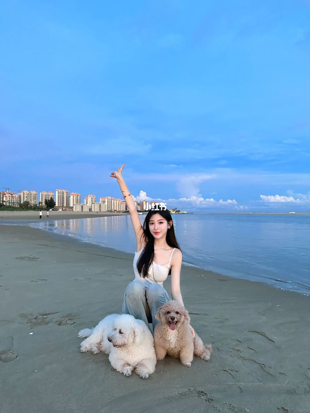 狗狗的爱永远真诚而热烈