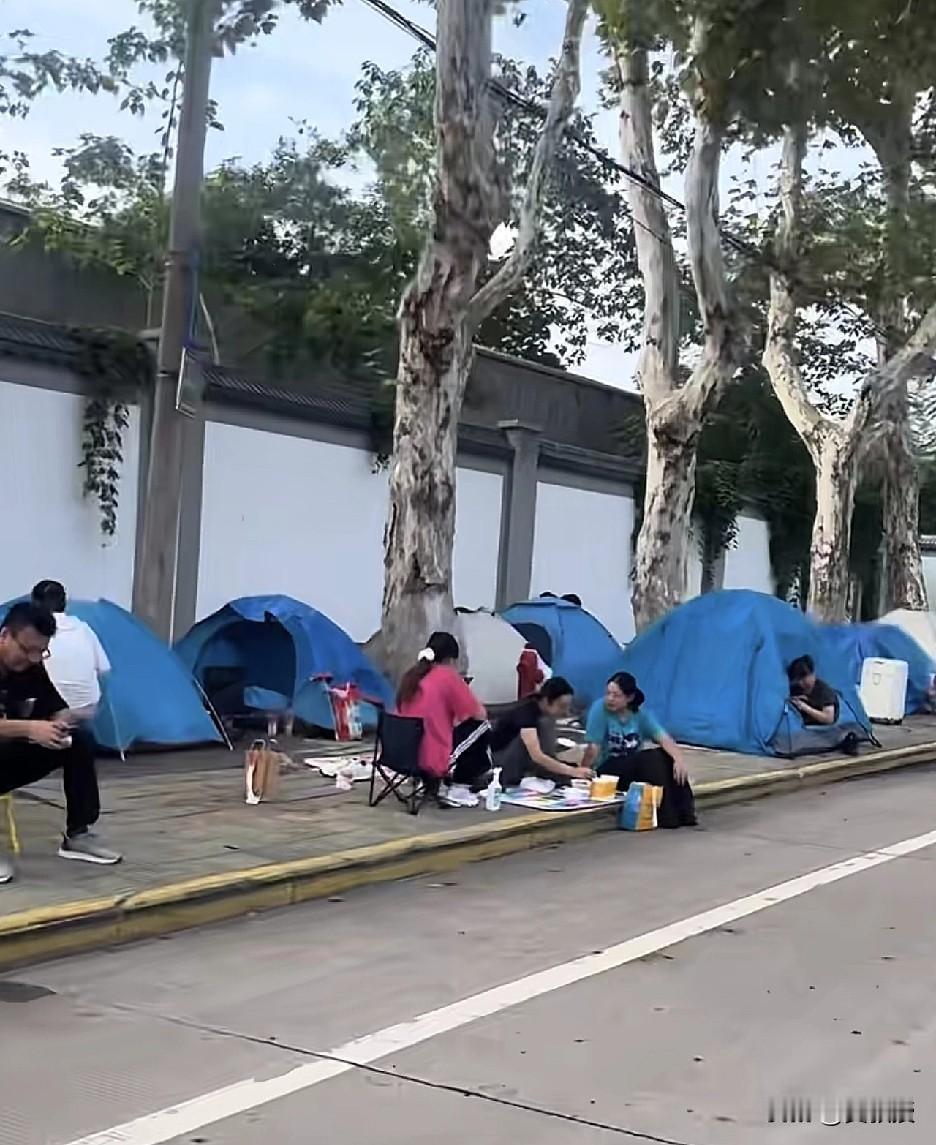 武汉龟山风景区
为啥这么多帐篷⛺️？
