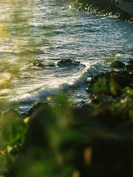 “𝓢𝓾𝓶𝓶𝓮𝓻 𝓦𝓪𝓿𝓮”