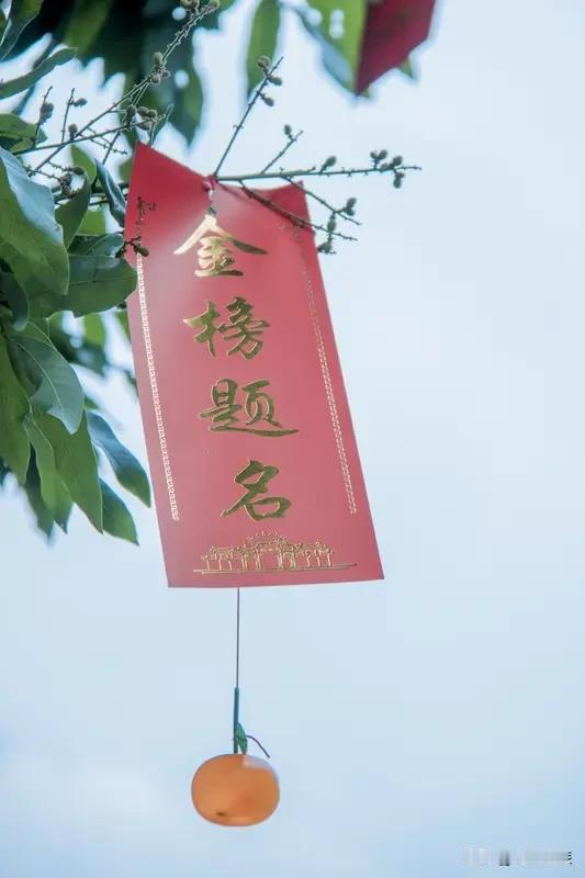 7月8日打卡好运签，还品了《诗经》里“投我木瓜，报以琼琚”，感觉这日子一下就有了