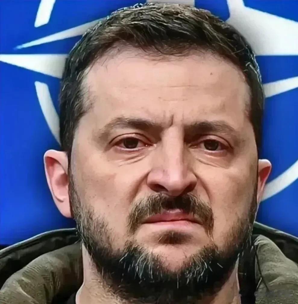 谁也没有想到，打败乌克兰竟然不是俄罗斯，而是哈马斯！！！
前几天泽连斯基还在表态