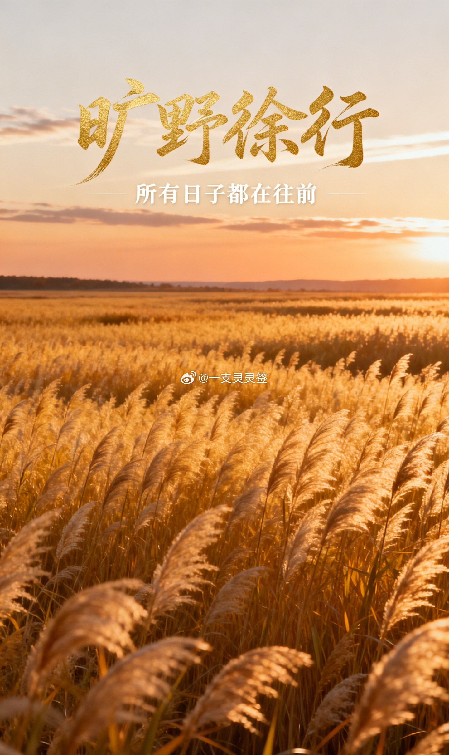 有些阶段，生活没有新消息，也没有明显变化，每天只是工作、吃饭、处理琐事。人很容易