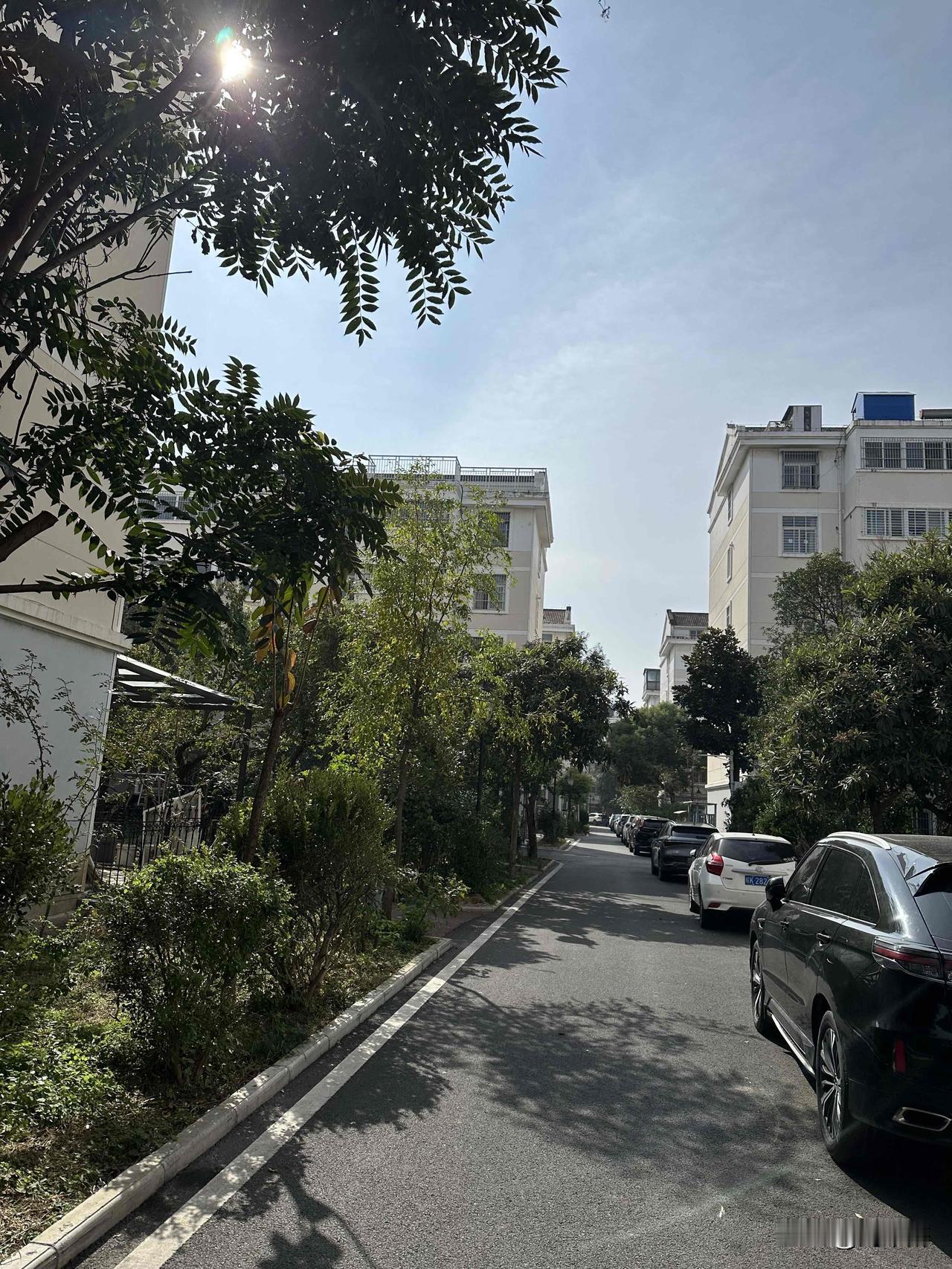 退休改变了我！
退休的我，简直判若两人。上班哪会儿，整天忙得一塌糊涂，无瑕过问家