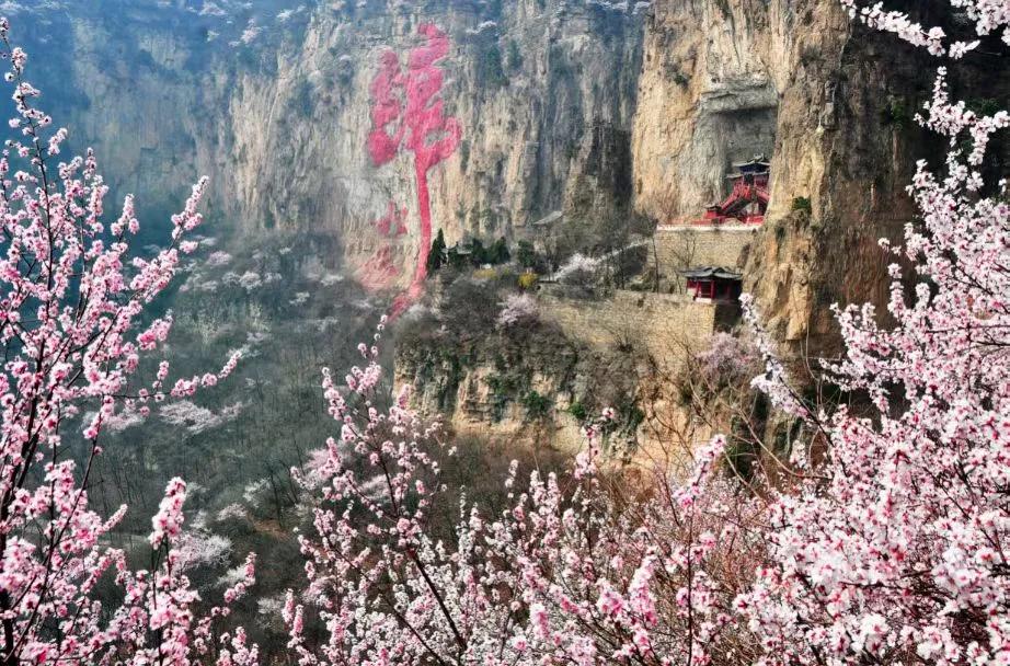 大概十来天以后，天桂山就是这个样子的！我在漫山遍野的桃花林中，等你来！@头条旅游