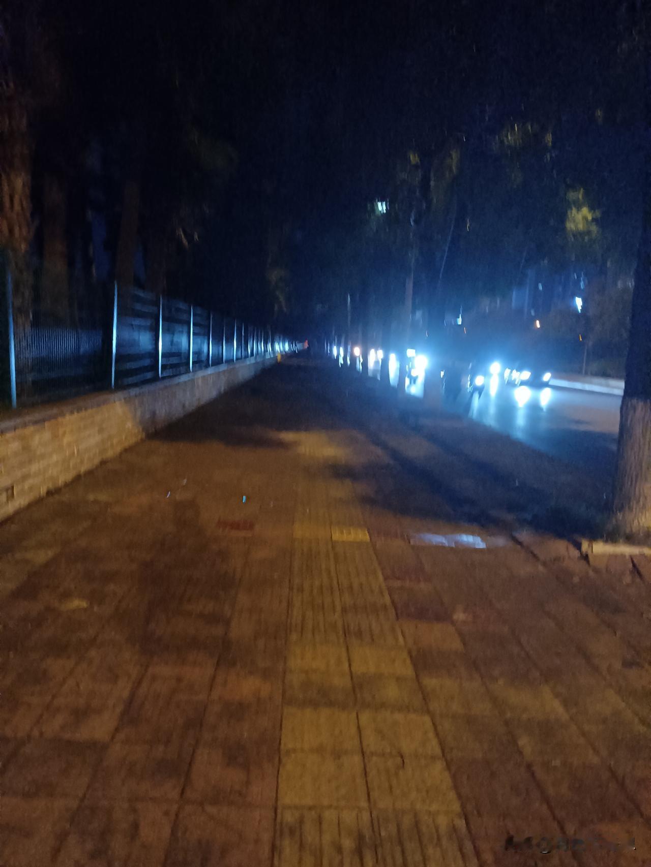 情人节的夜晚，我独自走在大街上。

路灯透过树叶洒下斑驳光影，像碎了一地的星子。