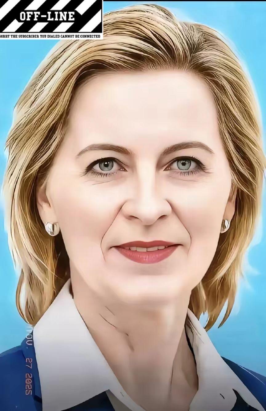 欧盟传来最新消息，
4月17日，欧盟领导人终于发话了，要求以色列和黎巴嫩落实那个