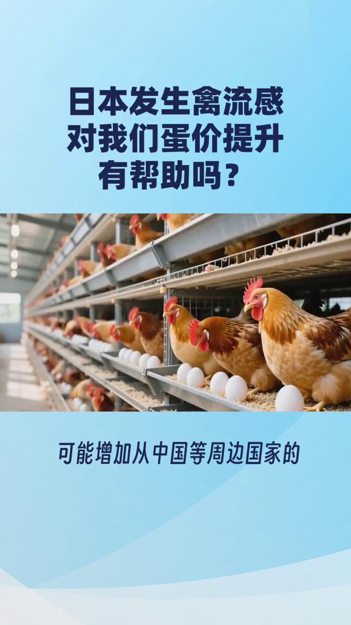 日本发生禽流感对我们蛋价提升有帮助吗？
日本冈山县扑杀43万蛋鸡的禽流感事件对中