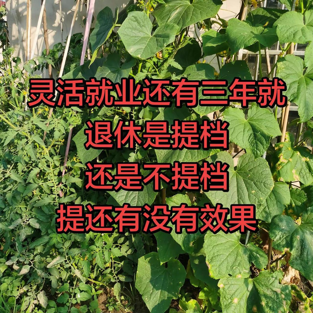 有没有经历过的朋友帮提点一下