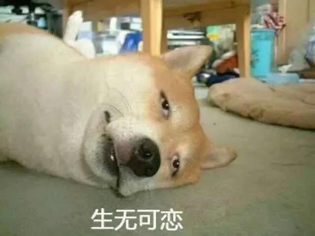 鹅鹅鹅鹅鹅鹅鹅鹅鹅鹅鹅鹅鹅鹅鹅鹅鹅鹅鹅鹅鹅鹅鹅鹅鹅鹅鹅