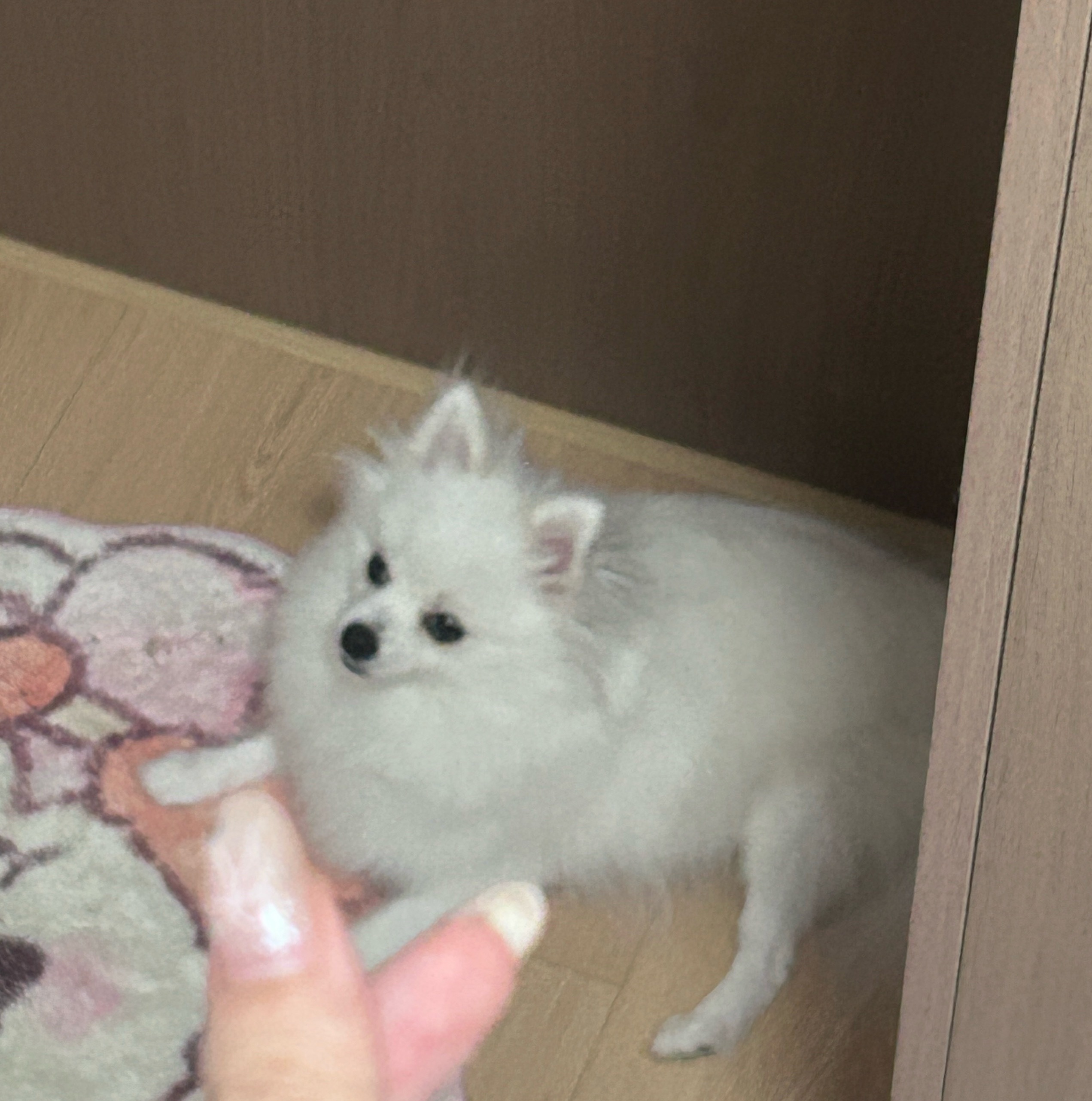 你们小情侣大半夜吵架可以小声一点吗 吵到我孩子睡觉了[手指比心] ​​​