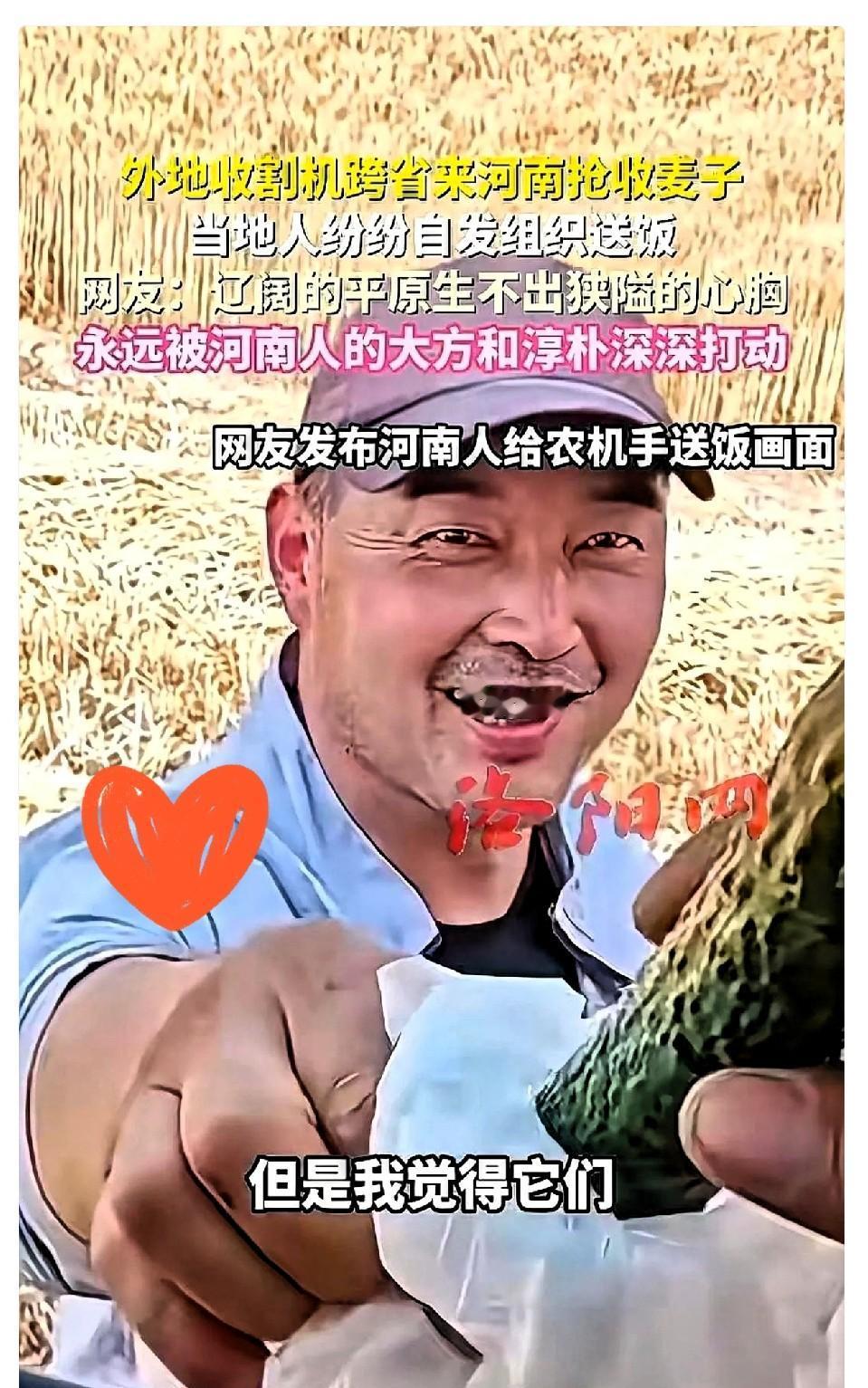 麦子倒了一地，

河南小伙割了四亩赔五，

到底谁亏了？

五月二十三号襄阳那块