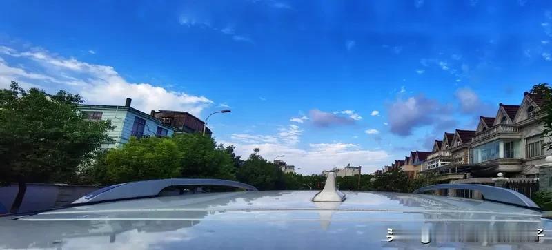 女子将羊放车顶从宁夏拉回黑龙江 2026年2月10日，宁夏籍远嫁黑龙江大庆的姜女