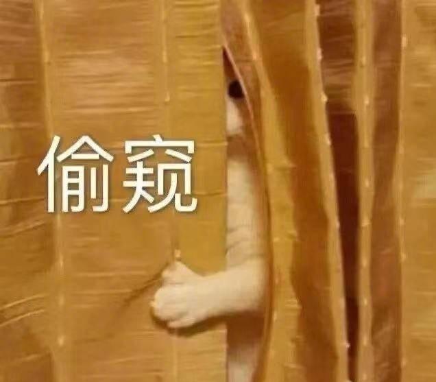 一颗粘在厨房两年的QQ糖一颗拒绝融化的QQ糖，用倔强甜味对抗时间法则——2026