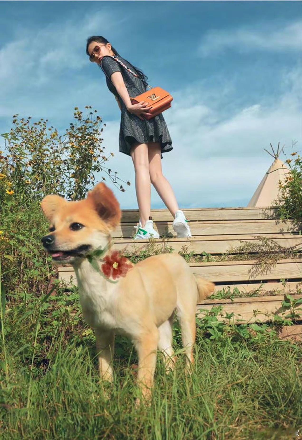 “小花”名字由来？ ​​​