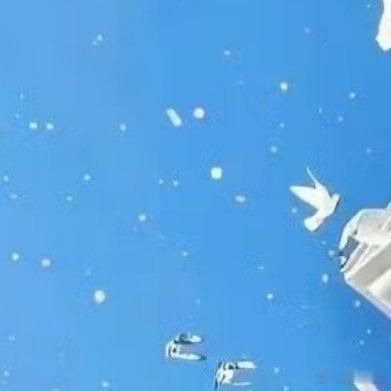 生活有时会布满荆棘，但总有人默默把玫瑰种进裂缝。是深夜为流浪猫搭的纸箱，是暴雨中