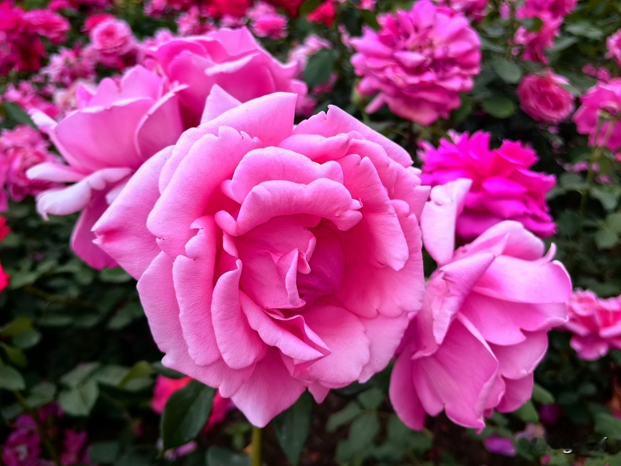 预防重疾，试试养成这六个黄金习惯！句句实用，现在做到还不晚
 
很多中老年人都觉