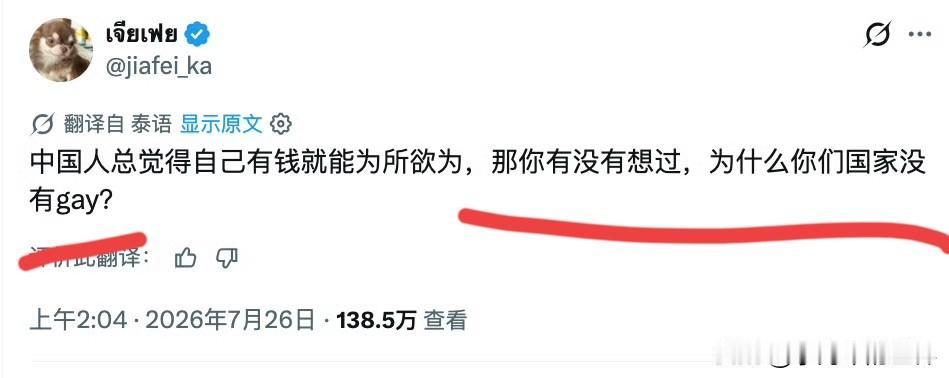 这个泰国人：别看你中有钱，可以为所欲为，但你没有gay（男男）。

这个泰国人的