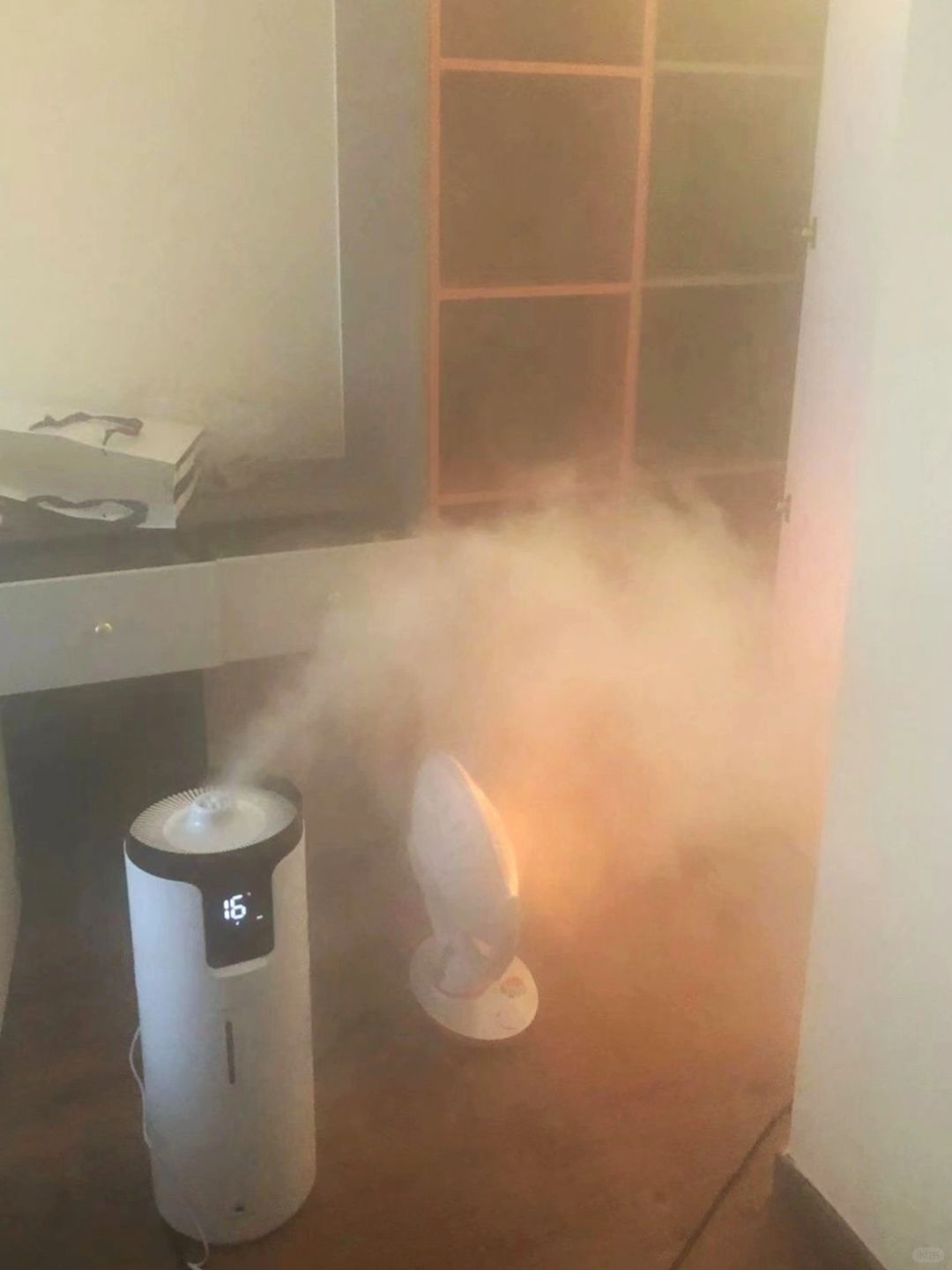 摊牌了，不花钱除甲醛的办法我找到啦~~