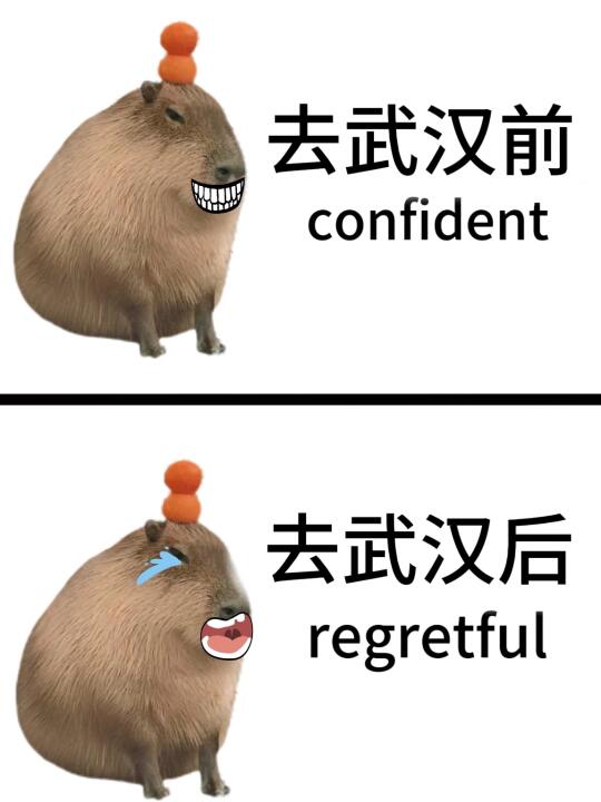 📍4月武汉旅游已回。。。我都崩溃了😭……