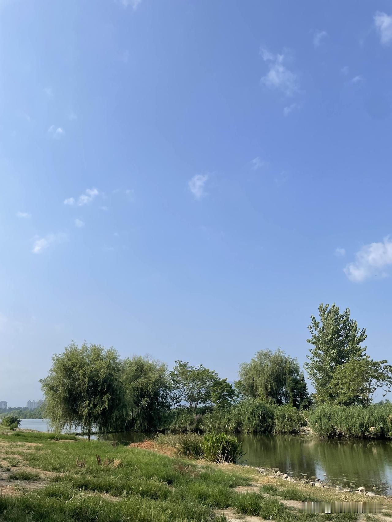 虽然烈日炎炎，早晨的汉江边，有树、有水、有草地，还有蓝天，也能给炎炎夏日带来一丝
